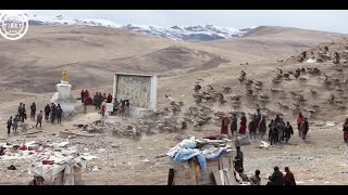 티베트 사람들 독수리가 장례를 치룬다 [ Sky burial in Tibet ]