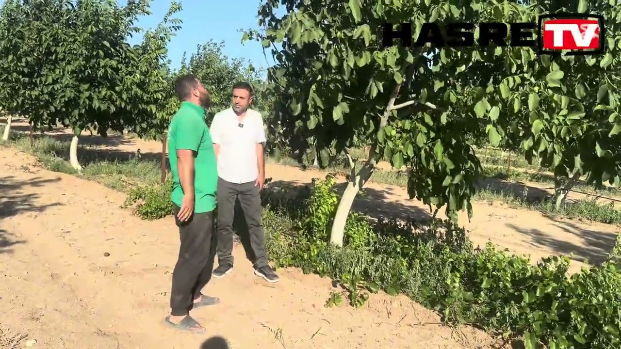 Eren Öztürk (Cankıllı)