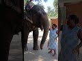 Ganpati ❤️ #viralvideo #jaishreeram #rammandir #shorts #cute #ganeshchaturthi #sanatandharma