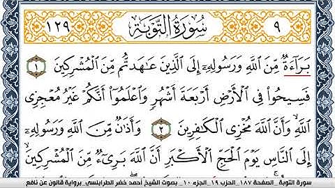سورة التوبة احمد الطرابلسي Surah Al Tawba برواية قالون عن نافع