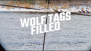 WOLF TAGS FILLED IN 30 SECONDS | RED LAKE, ONTARIO