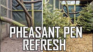 SPRING Cleaning the Reeves and Ornamental Pheasant Pens