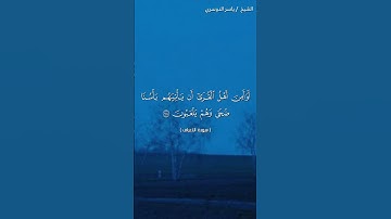 سورة الأعراف ( ٩٧ - ٩٩) / ياسر الدوسري