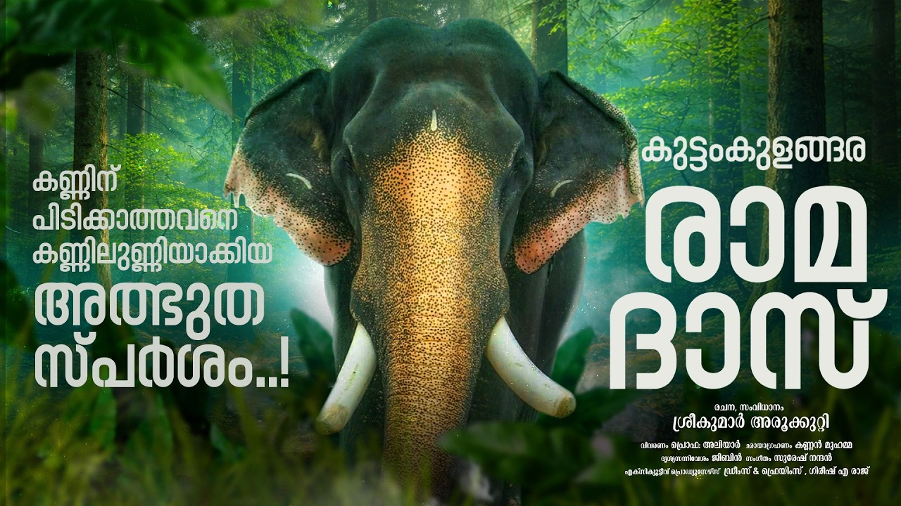 അപമാനത്തിന്റെ കയ്പ്പുനീരിൽ നിന്നും  വിശ്വസൗന്ദര്യപ്പട്ടം വെട്ടിപ്പിടിച്ച ആനക്കേമൻ...!