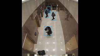 People Detection and Tracking - Elevator Lobby
