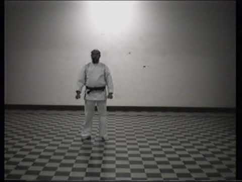 Kata NISEISHI, Maestro VINCENZO SCACCHIA cintura nera 7° Dan, WADORYU KARATE-DO.