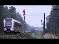 Railbus 630MiL-005 and 2M62K-0488 / Рельсовый автобус 630MiL-005 и 2М62К-0488