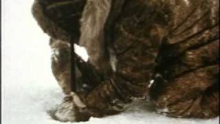 Watch Netsilik Eskimo Series, I: At the Autumn River Camp Trailer