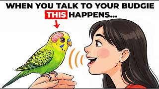 When You Talk to Your Budgie Every Day… This Is What Actually Happens