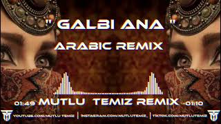 Video thumbnail of "Mutlu Temiz - Galbi Ana (Arabic)"