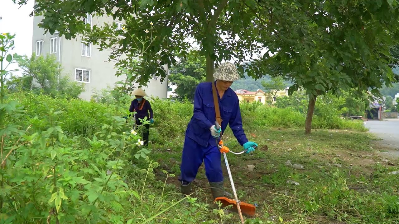 Sidewalks are overrun with trash, grass needs clearing, and there's an extreme amount of garbage