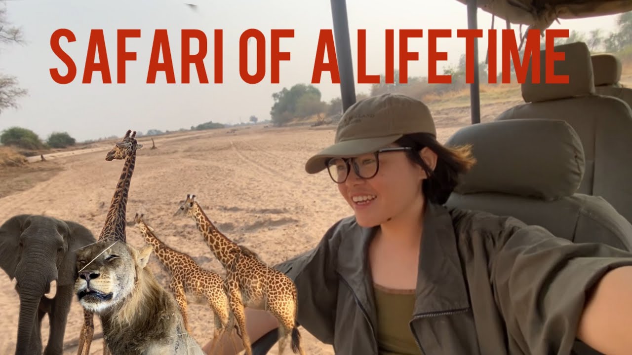 အာဖရိကဆာဖာရီခရီး full journey | safari in Zambia