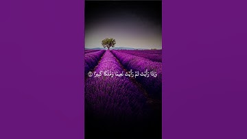 إِذَا رَأَيۡتَهُمۡ حَسِبۡتَهُمۡ لُؤۡلُؤٗا مَّنثُورٗا -الشيخ المنشاوي (سورة الانسان)