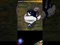 BARROW’S GOLDENEYE | BUCEPHALA ISLANDICA(AUDIO) @DISCOVER WHATZ UNIQUE #Europe #Iceland #AEWA #IUCN