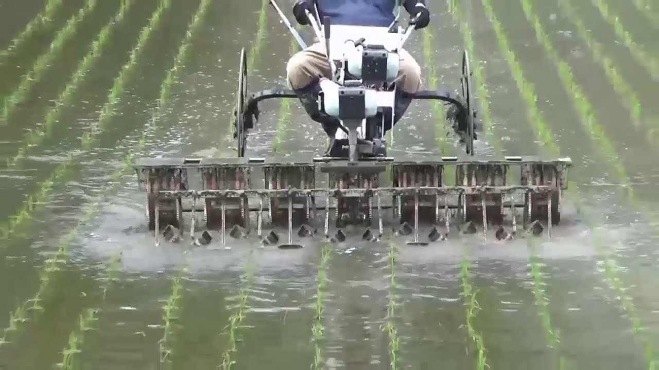 共立 水田除草機 JJ 大竹製作所｜水田除草機 乗用型 7条タイプ JJ-1-730 のるたんJJ