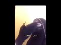 ريأكشن