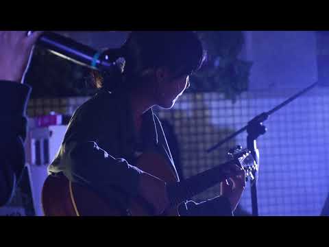 達爾文cover