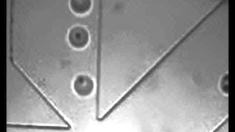 Droplet sorting based on the number of encapsulated particles using a solenoid valve