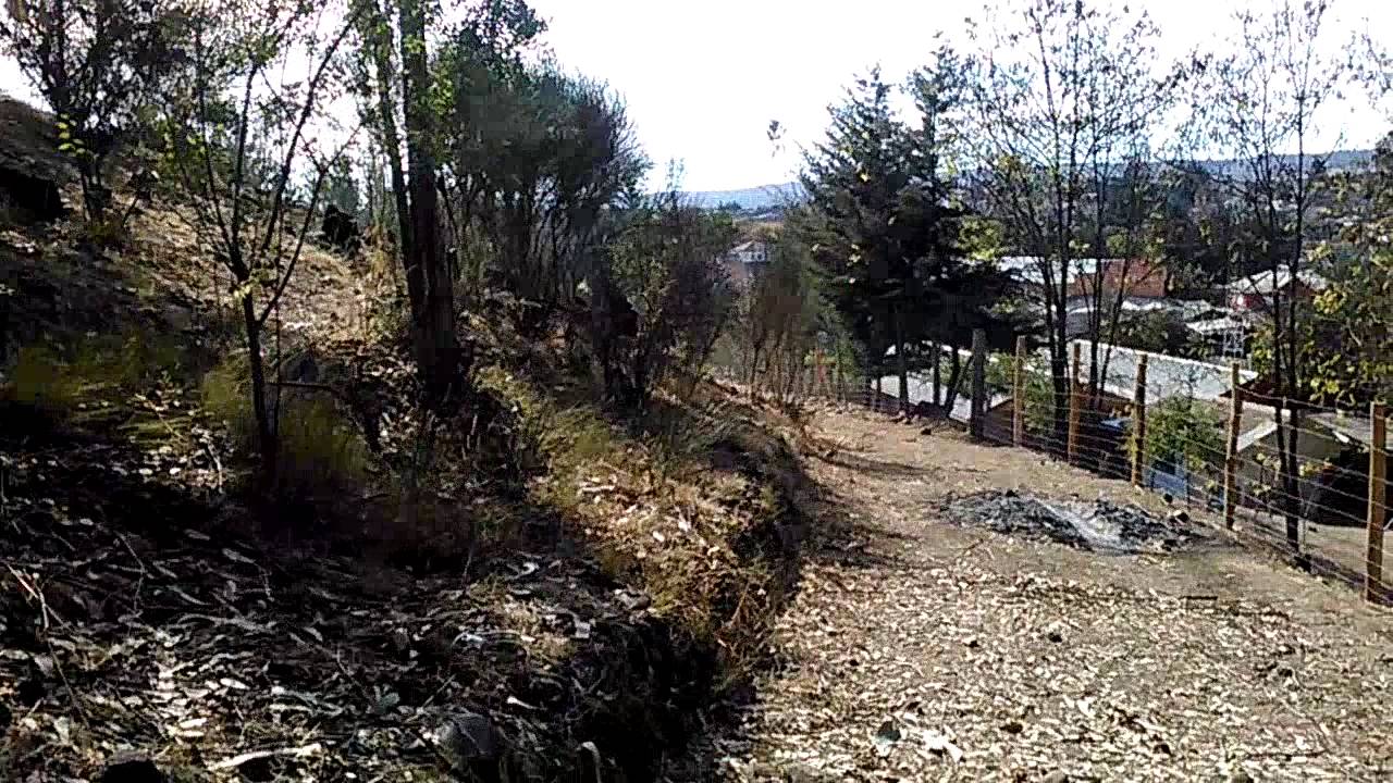 La gruta de litueche