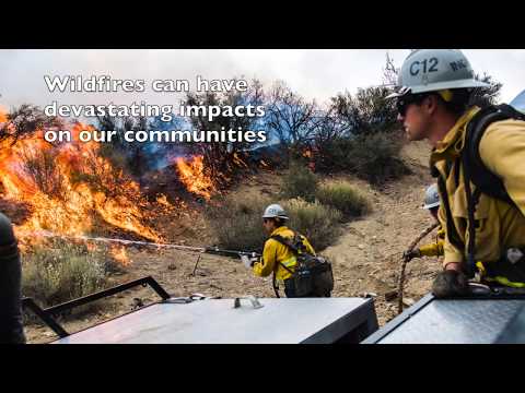 Fire Ecology
