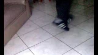 PeU FrItAnDo no rebolation