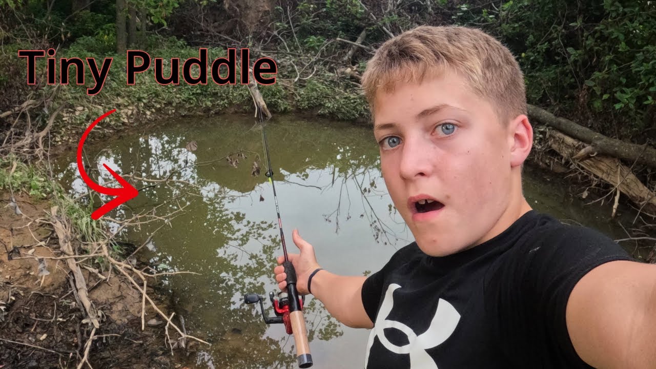 Fishing in tiny puddle surprising catch youtube