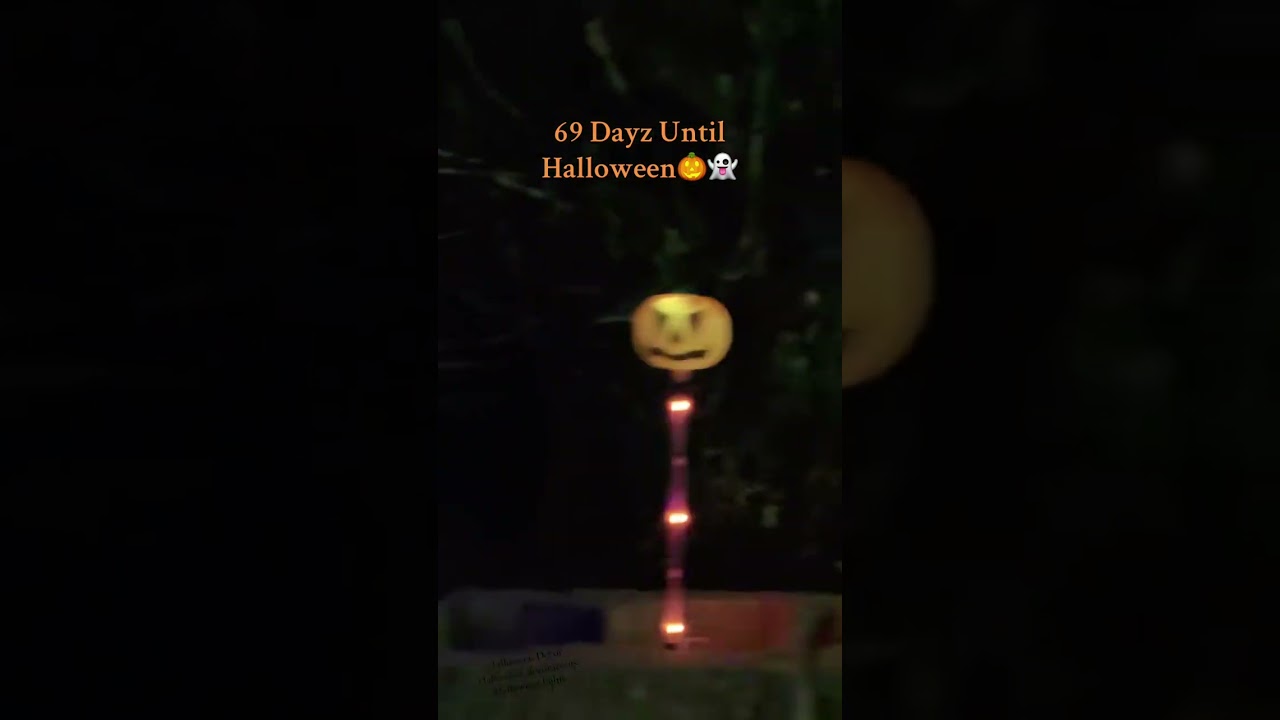 Spooky Season Lights 