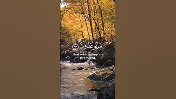 تلاوة هادئة للقرآن الكريم تخشع لها القلوب 💜❤️ المقرئ رعد الكردي