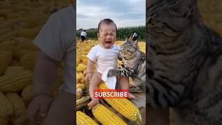 Nunu Kandish Na Chup Chup