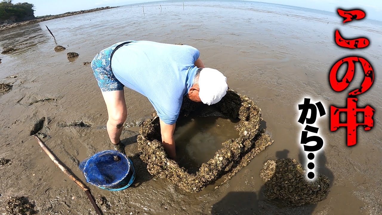 手掴み大漁！カニやアナゴを次々と…