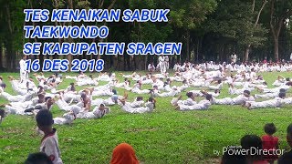 Tes Kenaikan Sabuk Taekwondo Se Kabupaten Sragen 16 Des 2018