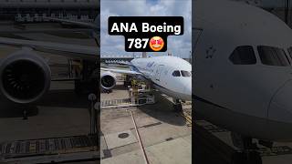 Ana Japan Boeing 787 Plane Spotted At Washington Dc Dulles Iad Airport Flight To Tokyo Haneda Hnd
