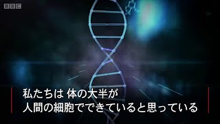 人体の半分は人間じゃない？マイクロバイオームの世界