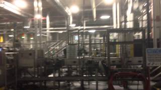 Budweiser Beer Master Tour - Kegging process
