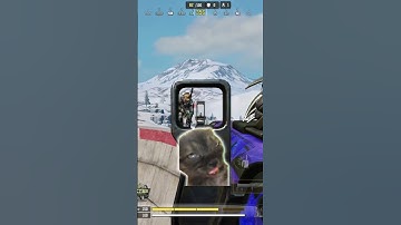 Meow met the Hero Camper 😹 #callofdutymobile #codmobile #codm