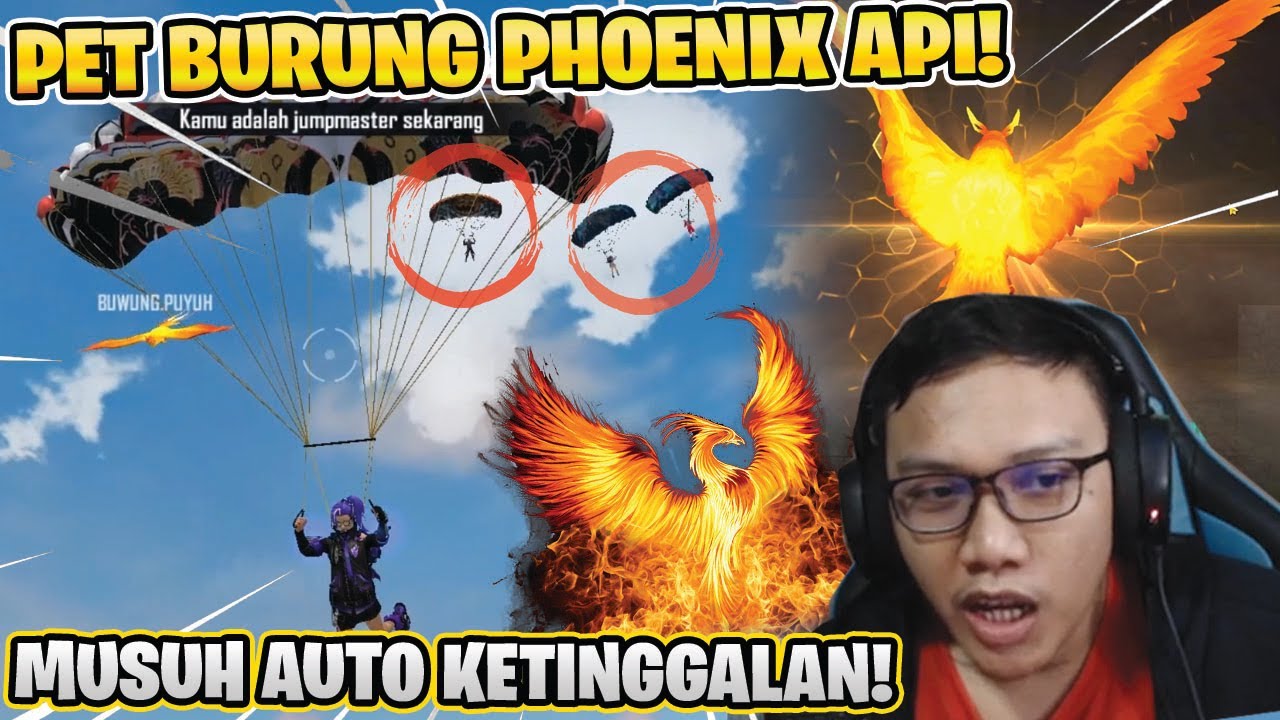 pet-paling-op-meluncur-kebawah-2x-lebih-cepat-langsung-sampe-youtube