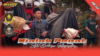 DJ BANTENGAN ‼️ SATRIO DAMAR MOYO ( NJALUK PEGAT ) RemixerBy DJ AS Projek