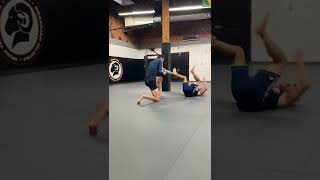 mma bjj  wrestling