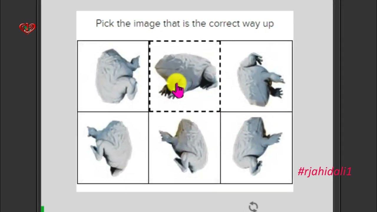 What animal is shown in the image below pick the image that is the