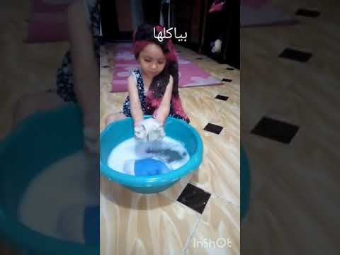 البرنسيسه مريم اشطر الشطرين