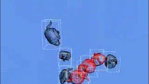 Real-time Animation Collision Detection Jonathan Ruttle