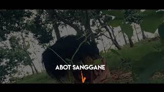 Story WA ||PACOBANING URIP versi barongan blora