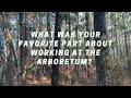 Best Thing About the Arboretum - Testimonials