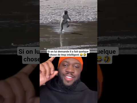 Moi Qui Croyais Avoir Tout Vu 