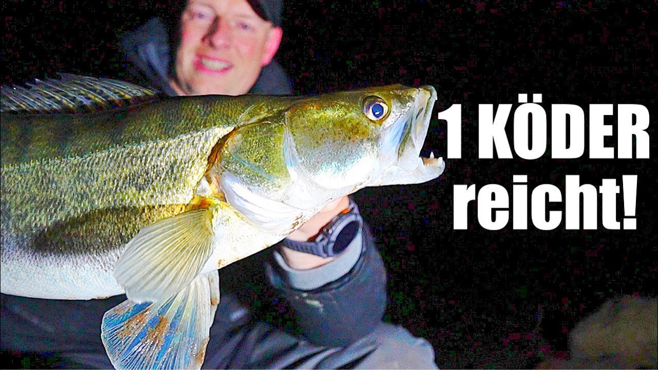 Winter-Zander: 1 Köder schlägt jetzt Gummifisch!