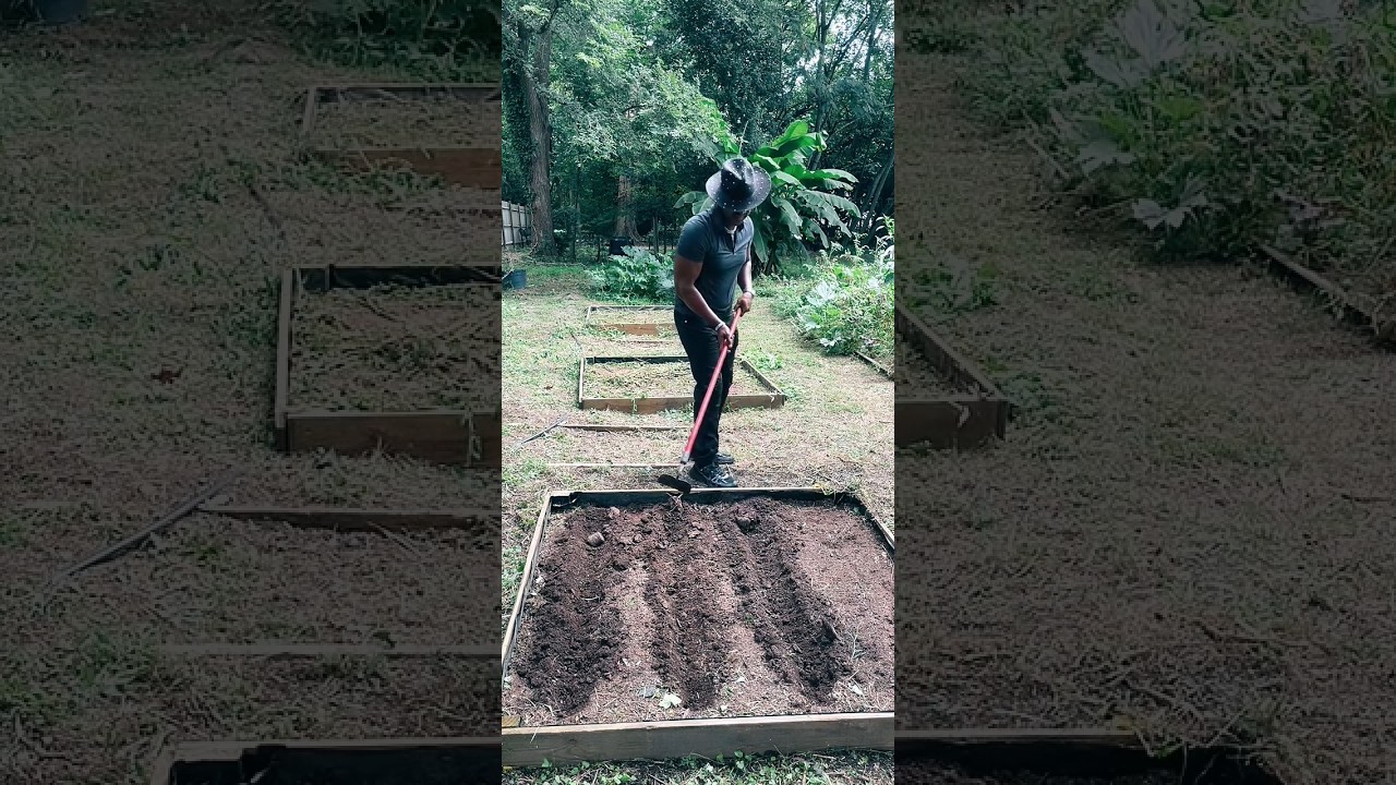 rewrite this title Raised Bed Gardening w/ Theatric: How to make money online rewrite this title Raised Bed Gardening w/ Theatric: How to make money online