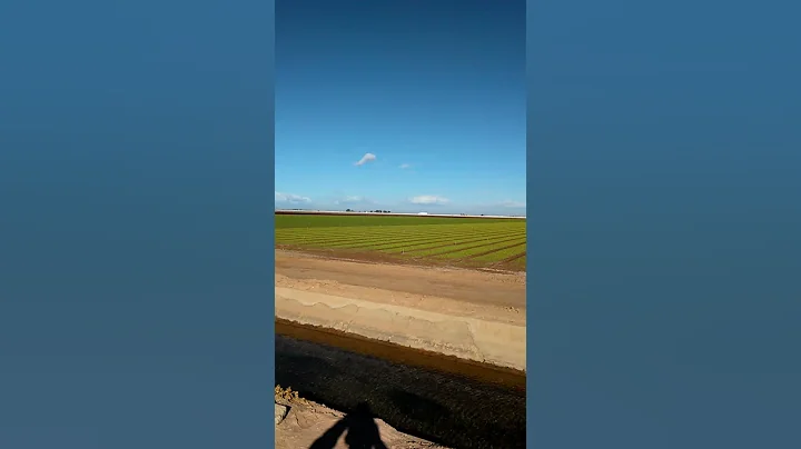 Las ultimas siembras en mike sudduth farm