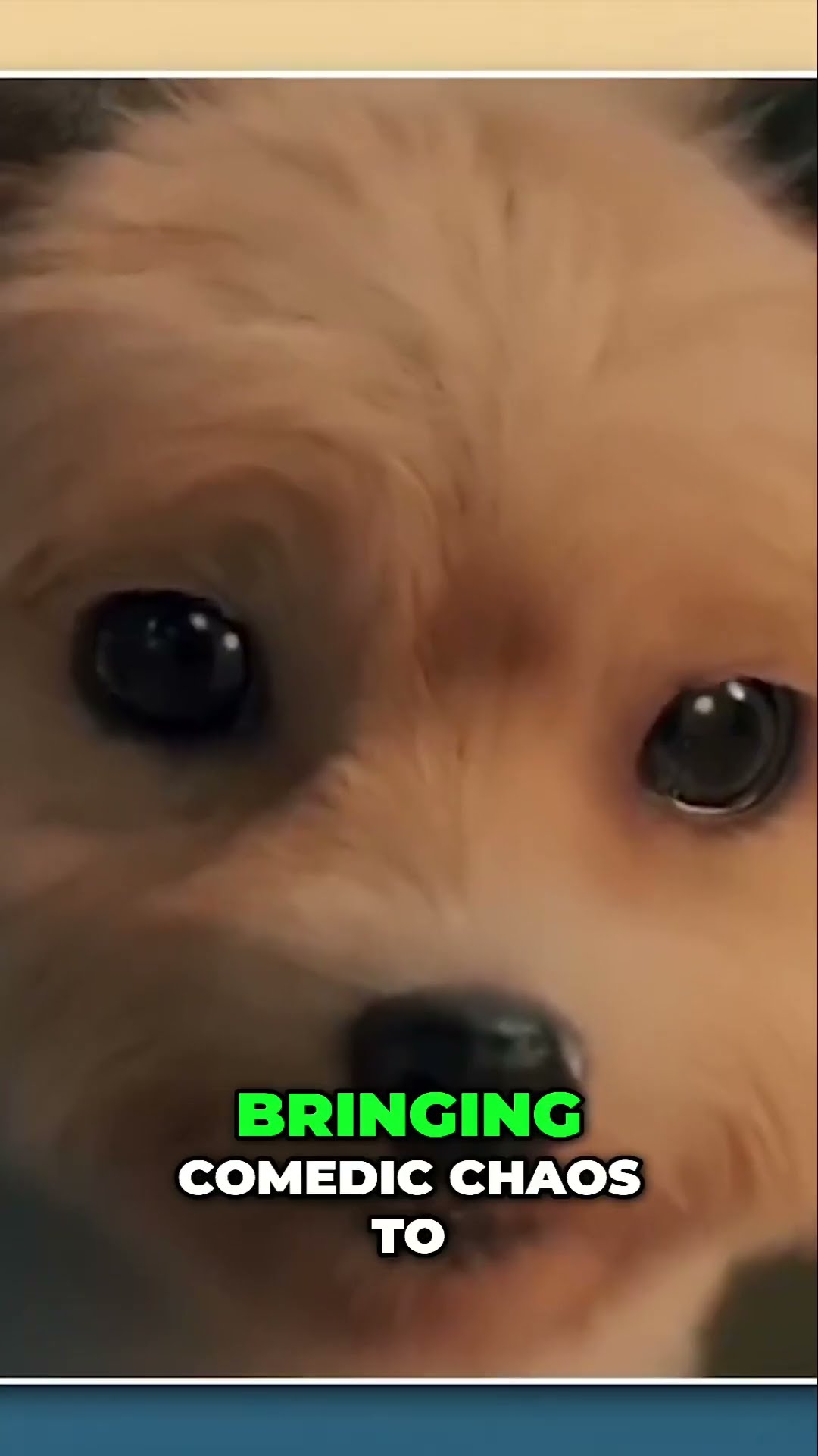 Teacher Turns Into a Dog! ?