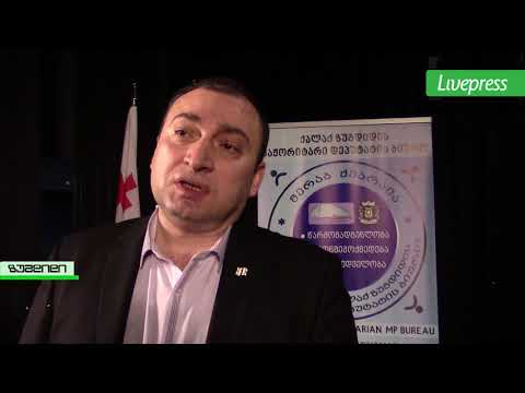 მაჟორიტარის მოქალაქეებთან შეხვედრა