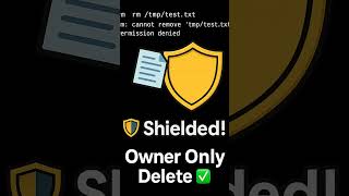 Celebrity Sticky Bit in Linux — Protect /tmp Files Like a Pro 🔒 Net Worth